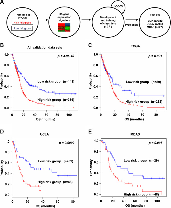 Prognostic significance of the 89-gene signature in independent validation data sets.