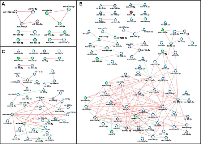 Network picture of colorectal cancer miRNA-ome datasets based on Pearson Product Moment Correlation network of commonly correlated miRNAs in tumor and non-tumor tissue.