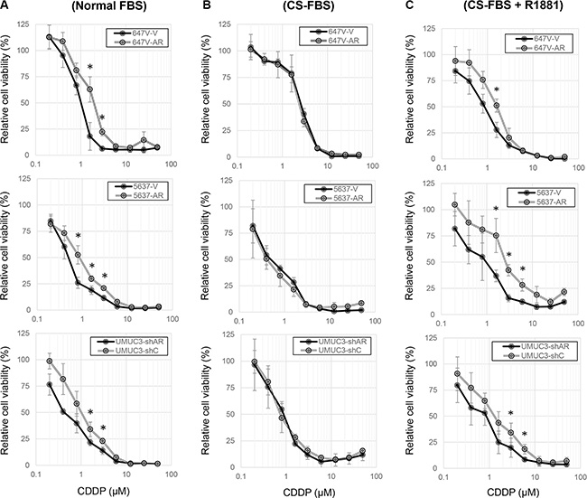 Effects of AR expression on the cytotoxicity of CDDP in bladder cancer cells.