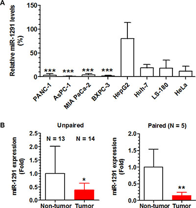 miR-1291 expression levels are lower in human pancreatic cancer cell lines and patient PDAC tissues.