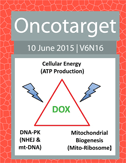 Journal Cover for Oncotarget V6N16