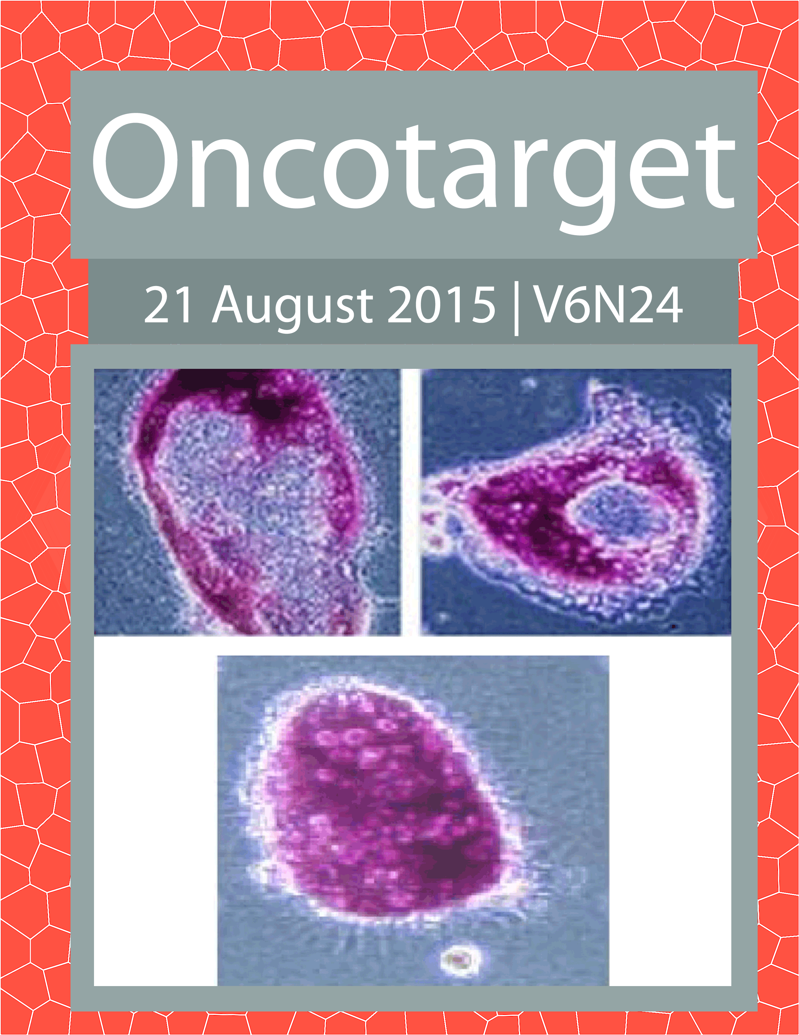 Journal Cover for Oncotarget V6N24