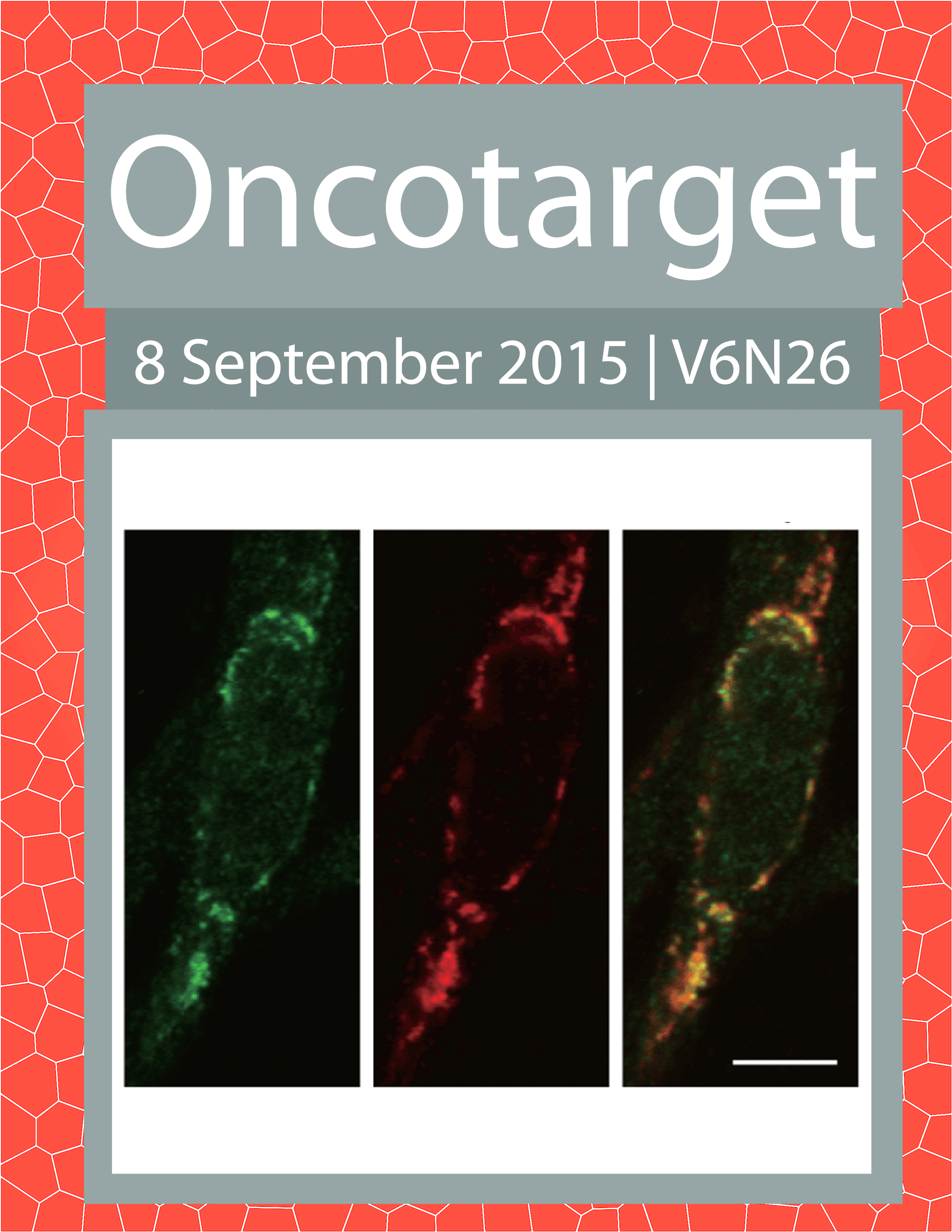 Journal Cover for Oncotarget V6N26