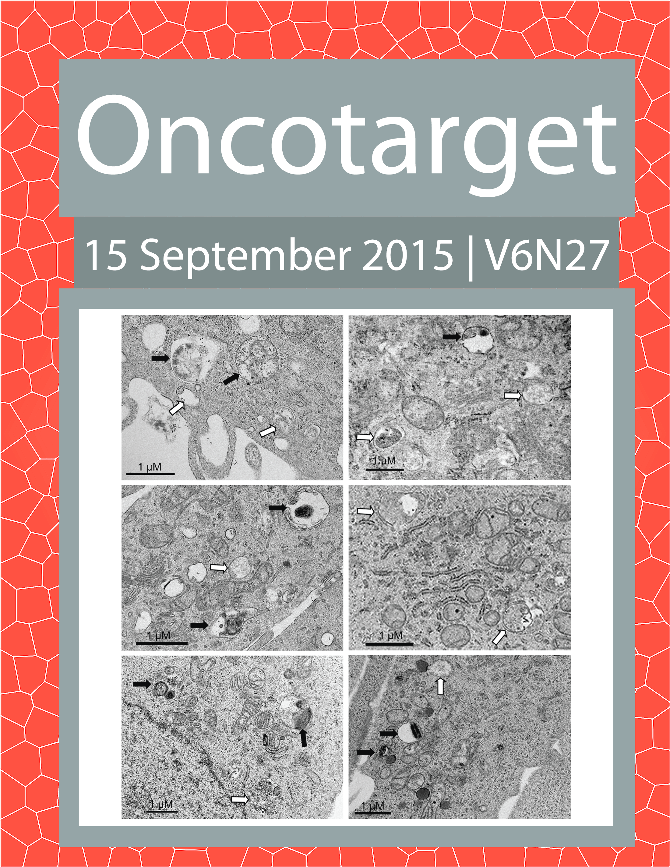 Journal Cover for Oncotarget V6N27