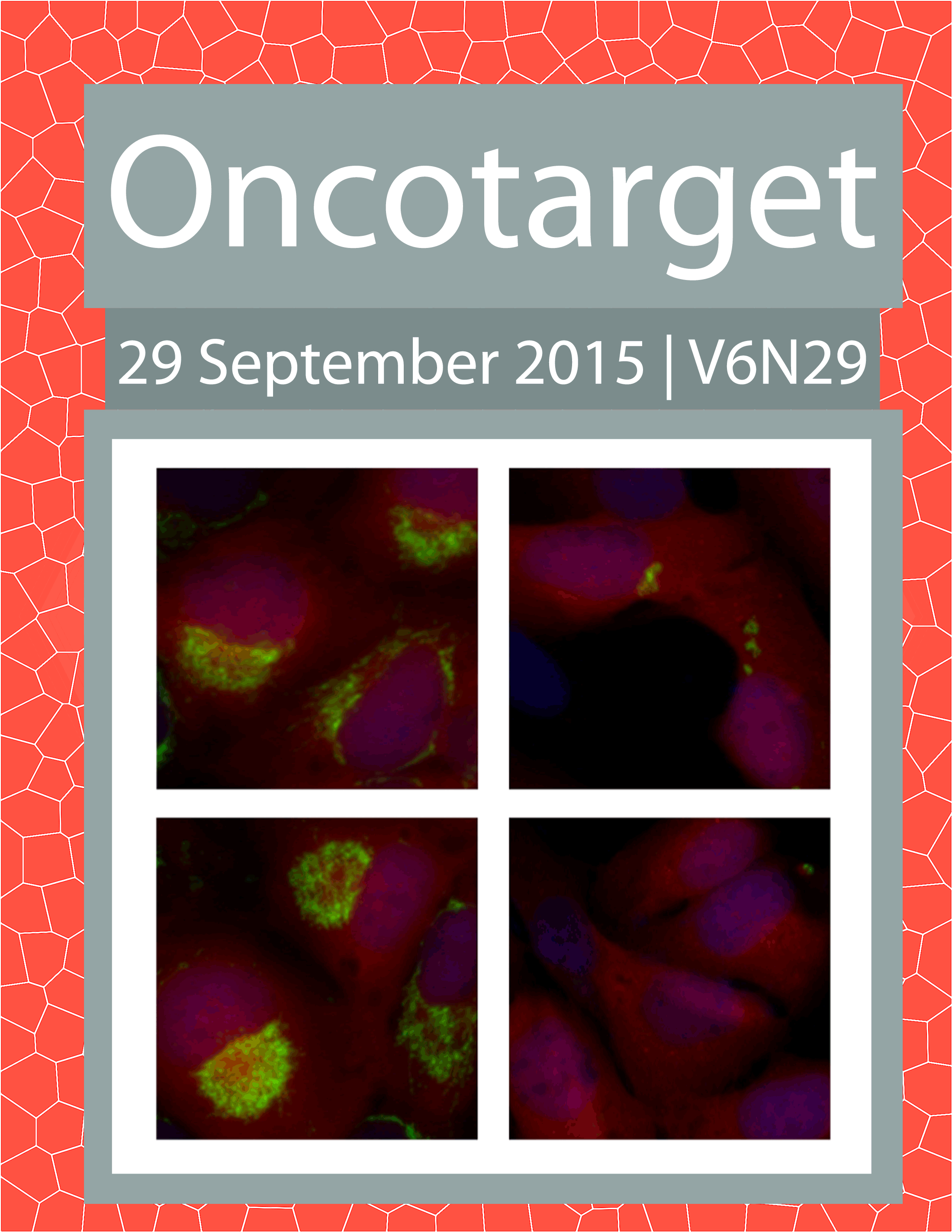Journal Cover for Oncotarget V6N29