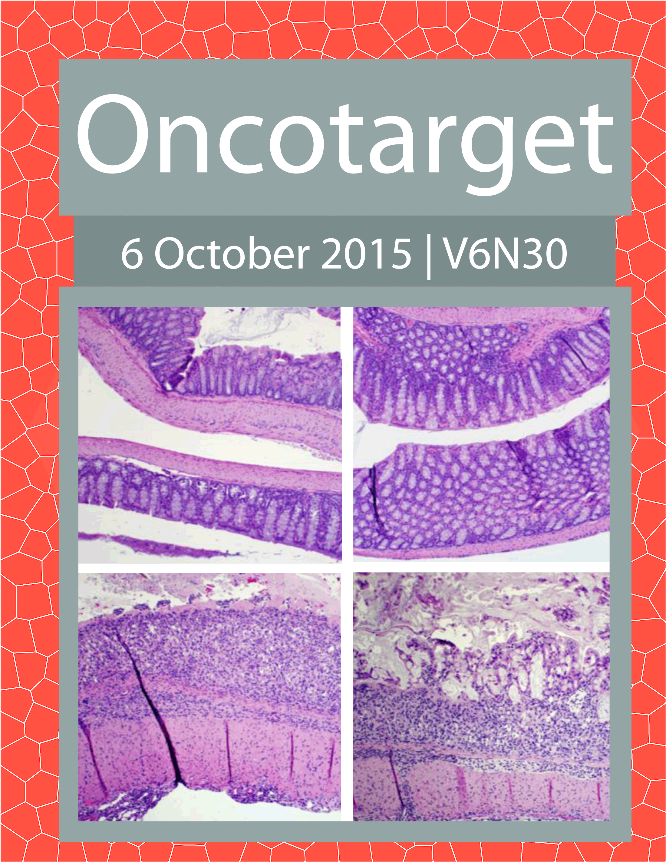 Journal Cover for Oncotarget V6N30