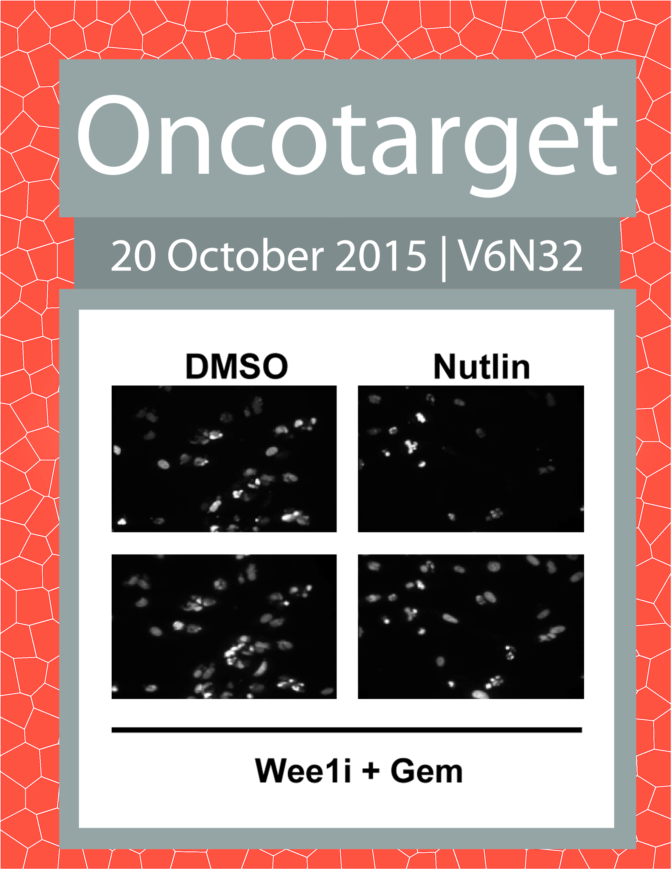 Journal Cover for Oncotarget V6N32