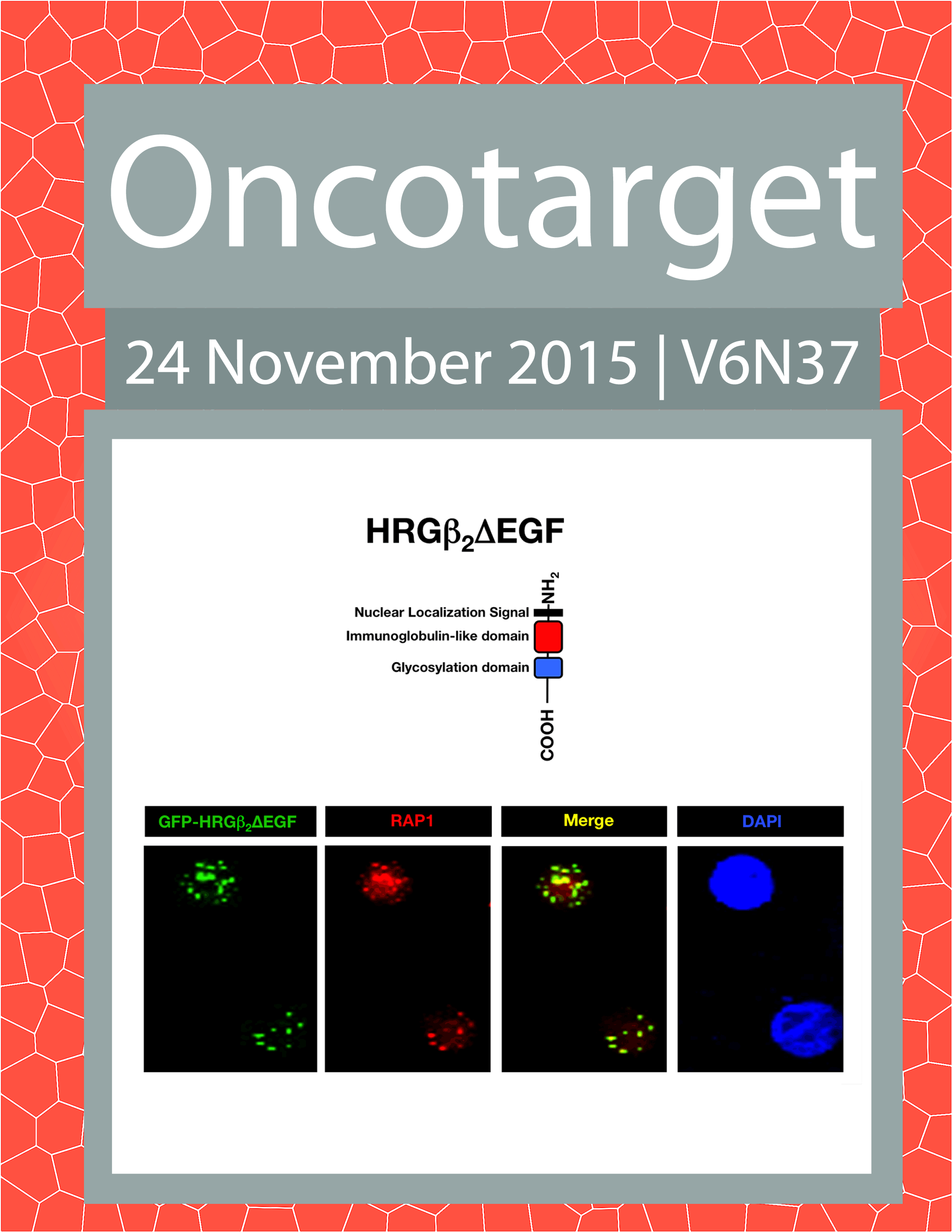 Journal Cover for Oncotarget V6N37