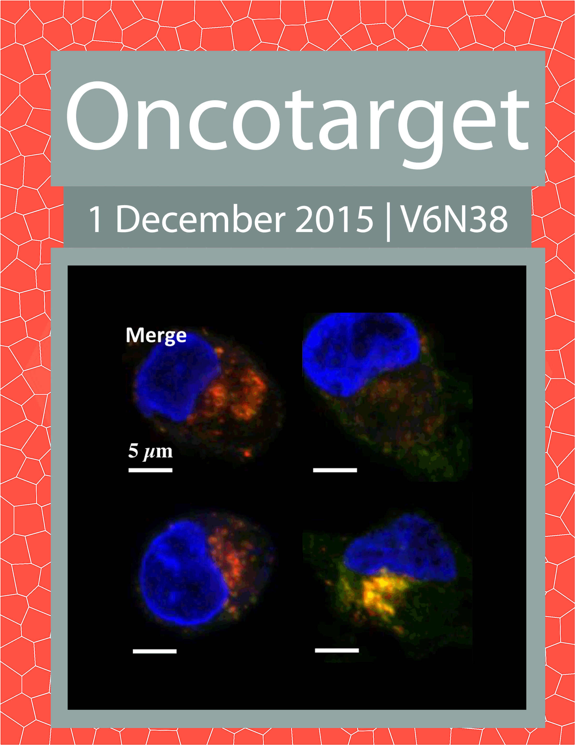 Journal Cover for Oncotarget V6N38