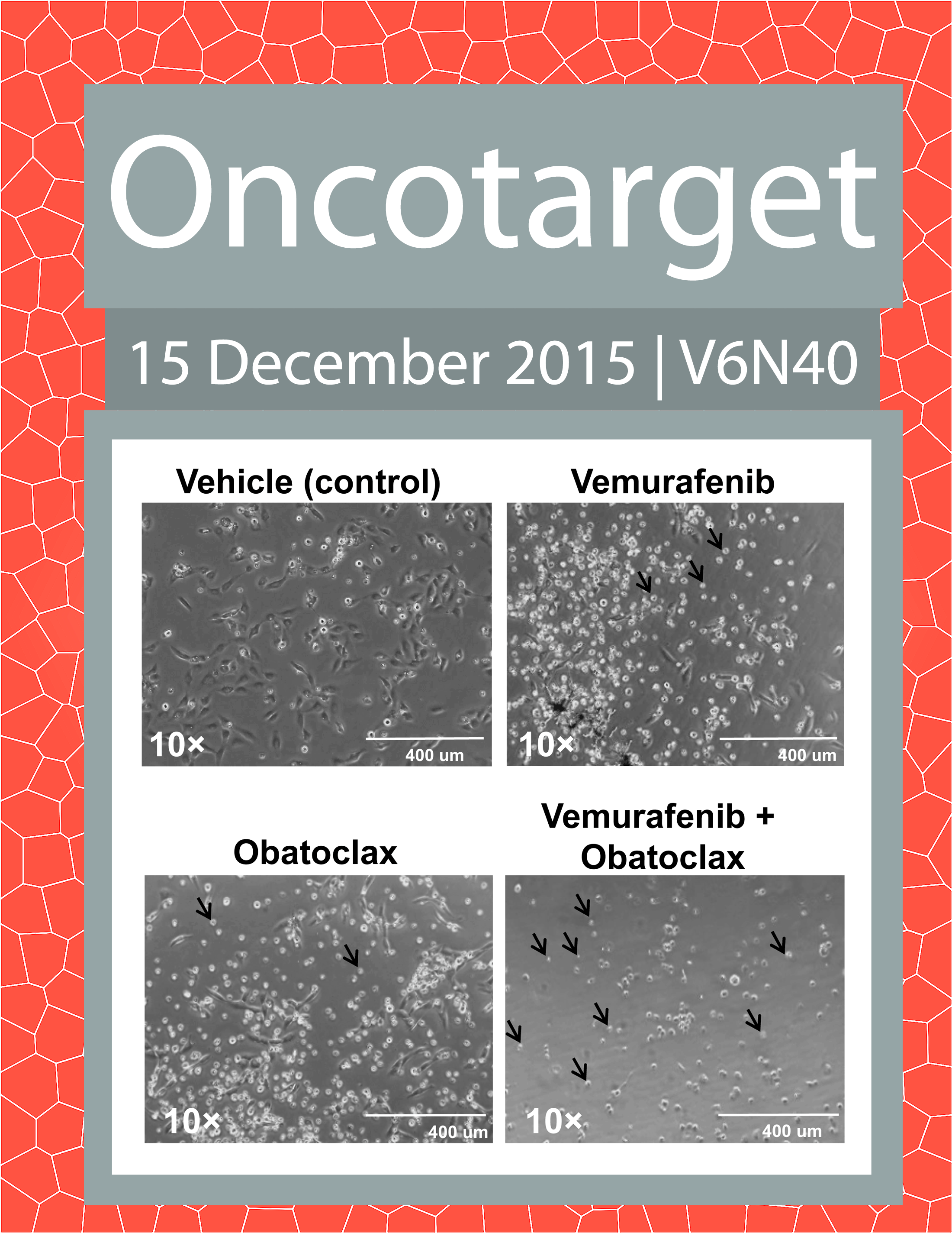 Journal Cover for Oncotarget V6N40