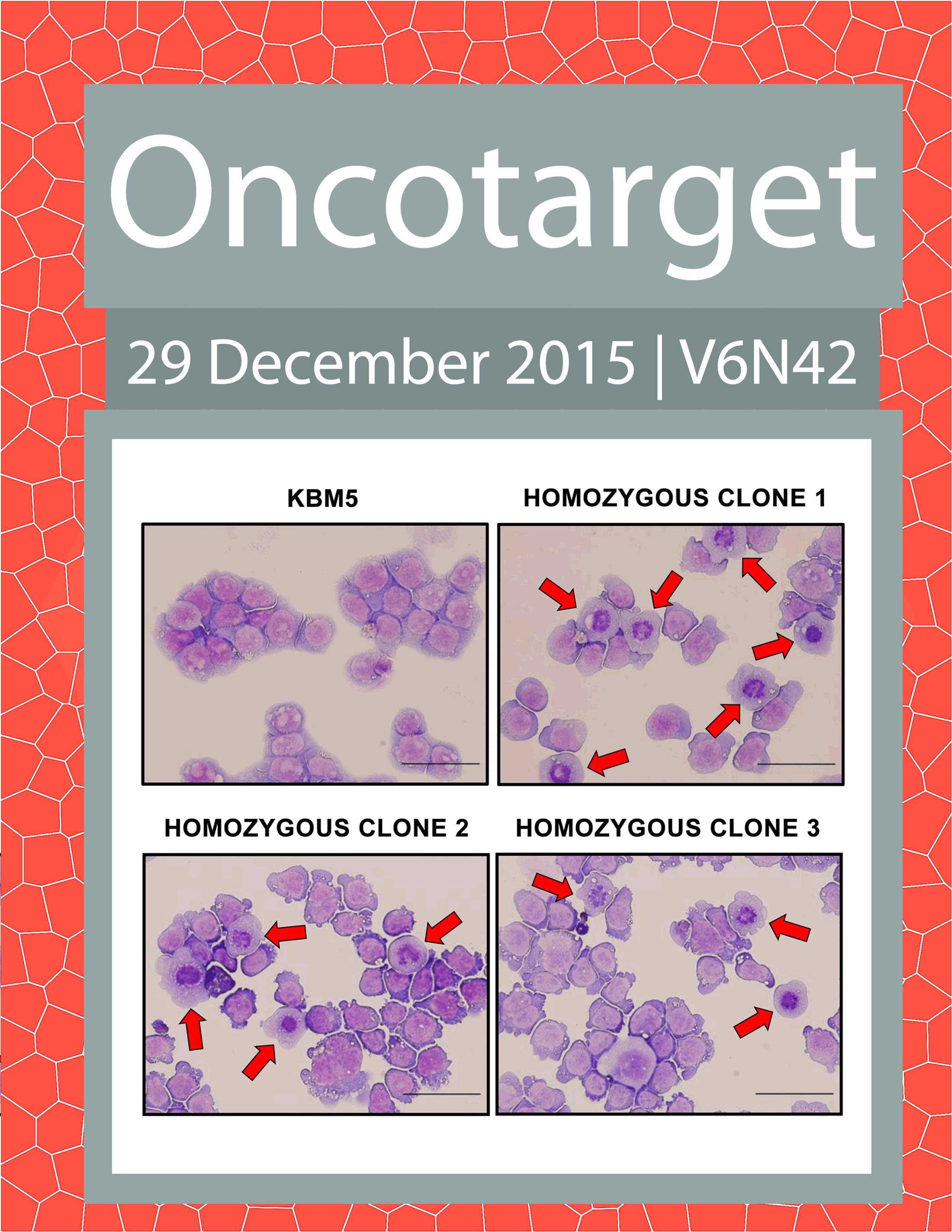 Journal Cover for Oncotarget V6N42