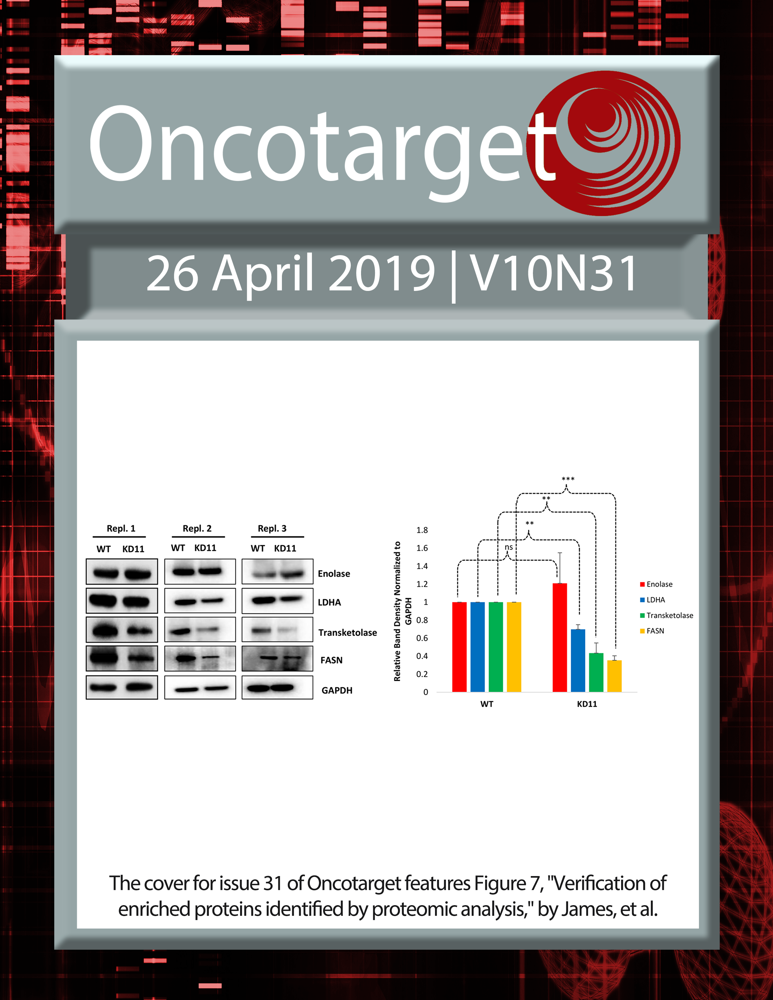 Journal Cover for Oncotarget V10N31