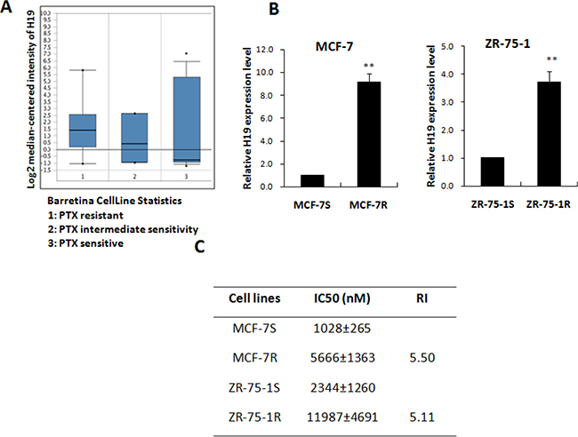LncRNA H19 confers chemoresistance in ERα-positive breast cancer
