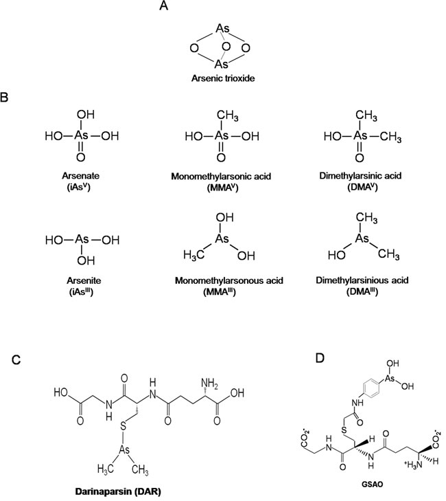 glutathione production assay Glutathione Reductase Assay Kit