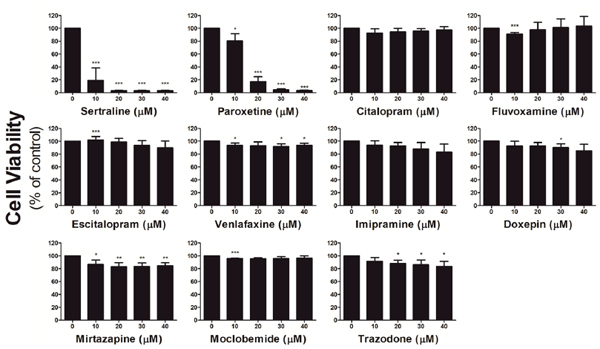 Antidepressants sertraline and paroxetine increase calcium influx and  induce mitochondrial damagemediated apoptosis of astrocytes