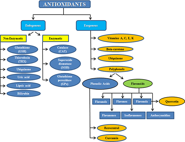 glutathione rose soap Glutathione in the Brain
