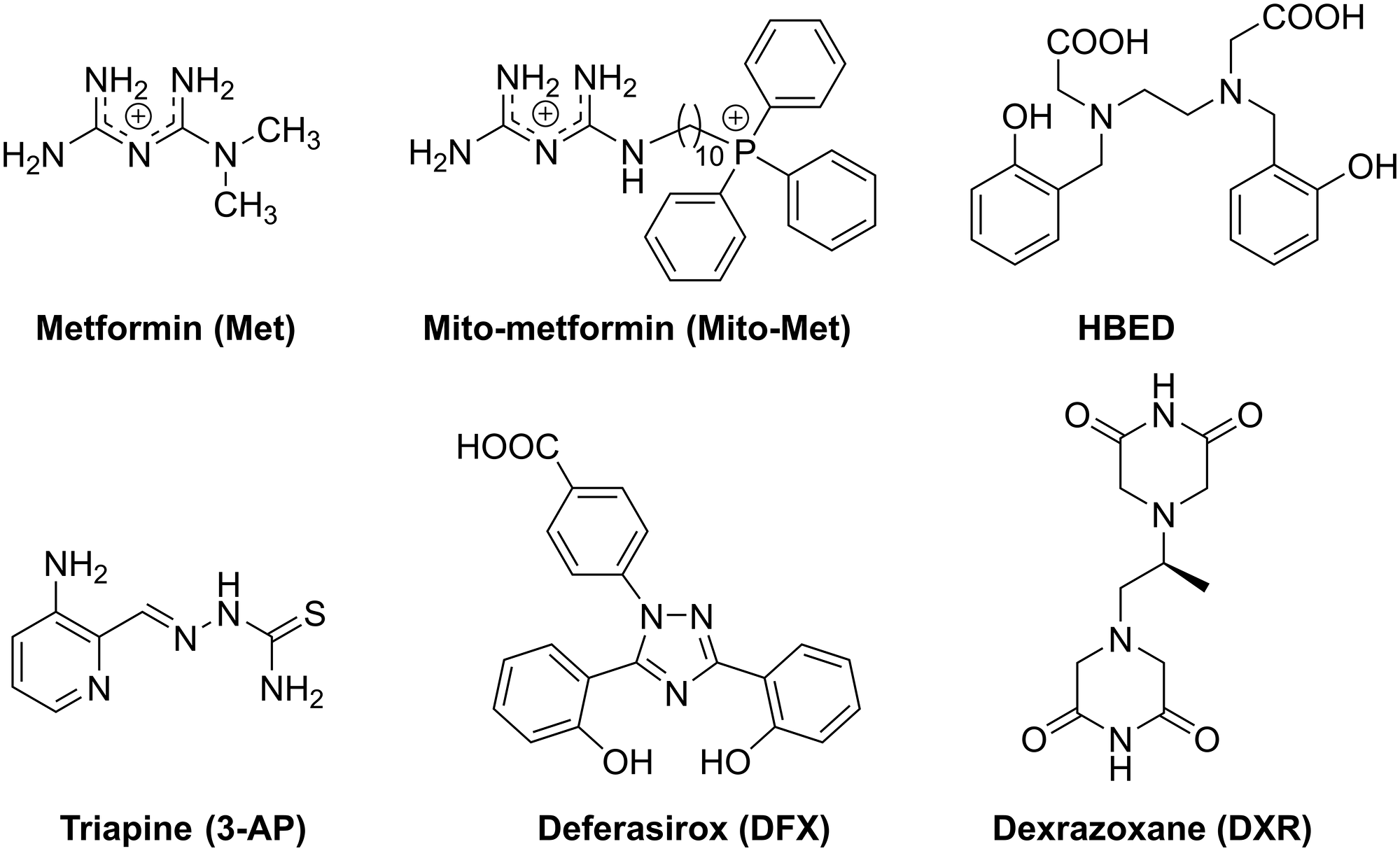 Synergistic inhibition of tumor cell proliferation by metformin and ...