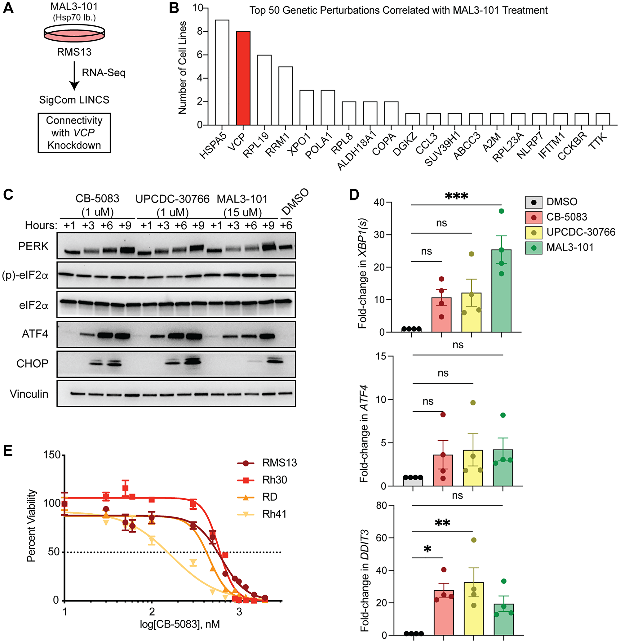 In vivo manipulation of the protein homeostasis network in ...