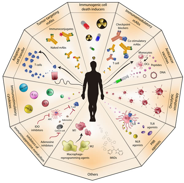 Classification of current anticancer immunotherapies | Oncotarget