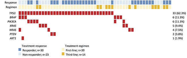 Mutations of KRAS/NRAS/BRAF predict cetuximab resistance in
